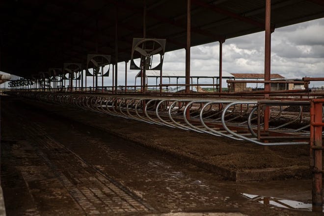 Empty cow stalls on Lerda-Goni Farms outside of Tulare on March 23, 2023. The stalls were emptied after flood water submerged the farm after a series of storms.